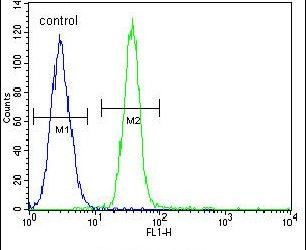 Flow cytometry analysis of A549 cells using a TDRD7 polyclonal antibody (Product # PA5-24462) (right) compared to a negative control cell (left) at a dilution of 1:10-50, followed by a FITC-conjugated goat anti-rabbit antibody