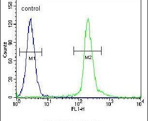Flow cytometry analysis of HeLa cells using a UNK polyclonal antibody (Product # PA5-24557) (right) compared to a negative control cell (left) at a dilution of 1:10-50, followed by a FITC-conjugated goat anti-rabbit antibody