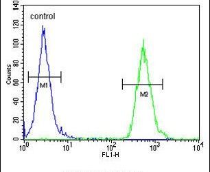 Flow cytometry analysis of MCF-7 cells using a TTPAL polyclonal antibody (Product # PA5-25088) (right) compared to a negative control cell (left) at a dilution of 1:10-50, followed by a FITC-conjugated goat anti-rabbit antibody