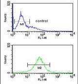 Flow cytometry analysis of K562 cells using a SMAGP polyclonal antibody (Product # PA5-25195) (bottom) compared to a negative control cell (top) at a dilution of 1:10-50, followed by a FITC-conjugated goat anti-rabbit antibody