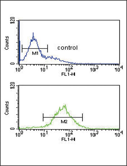 Flow cytometry analysis of K562 cells using a SRD5A3 polyclonal antibody (Product # PA5-25200) (bottom) compared to a negative control cell (top) at a dilution of 1:10-50, followed by a FITC-conjugated goat anti-rabbit antibody