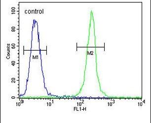 Flow cytometry analysis of MDA-MB435 cells using a TRHDE polyclonal antibody (Product # PA5-25545) (right) compared to a negative control cell (left) at a dilution of 1:10-50, followed by a FITC-conjugated goat anti-rabbit antibody