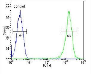 Flow cytometry analysis of CEM cells using a RCN3 polyclonal antibody (Product # PA5-25688) (right) compared to a negative control cell (left) at a dilution of 1:10-50, followed by a FITC-conjugated goat anti-rabbit antibody