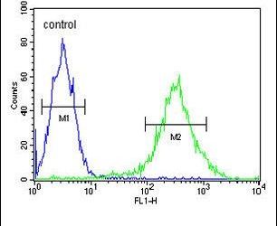 Flow cytometry analysis of Jurkat cells using a PKHH2 polyclonal antibody (Product # PA5-26776) (right) compared to a negative control cell (left) at a dilution of 1:10-50, followed by a FITC-conjugated goat anti-rabbit antibody
