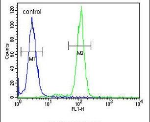 Flow cytometry analysis of 293 cells using an OST alpha polyclonal antibody (Product # PA5-26837) (right) compared to a negative control cell (left) at a dilution of 1:10-50, followed by a FITC-conjugated goat anti-rabbit antibody
