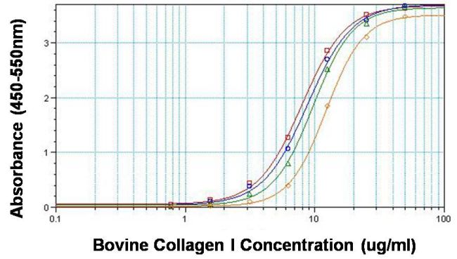 Direct ELISA analysis of collagen I was performed by coating 100ul per well of bovine collagen I in twelve replicates at 50, 25, 12.5, 6.25, 3.12, 1.56, 0.781 and 0ug/ml across a clear, 96-well plate and incubating overnight at room temperature. The coating solution was decanted and the plate was blocked with 5% BSA in TBST for at least 2 hours. The plate was washed with TBST and then incubated with 100ul per well of collagen I monoclonal antibody (Product # MA1-141) at 50ug/ml (red line), 10ug/ml (blue line), 2ug/ml (green line) and 0.4ug/ml (orange line) in blocking buffer for 1 hour at room temperature. The plate was washed and incubated with 100ul per well of HRP-conjugated goat anti-mouse IgG secondary antibody (Product # 31430) in all test wells at 1:10,000 for 30 minutes at room temperature. The plate was again washed in TBST and detection was performed using ultra TMB substrate (Product # 34028) for 30 minutes at room temperature in the dark. The reaction was then stopped with
