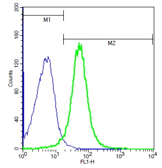 Mouse splenocytes probed with Rabbit Anti-GPR65 Polyclonal Antibody, Unconjugated (bs-7668R) (green) at 1:100 for 40 minutes followed by a FITC conjugated secondary compared to control cells (blue).