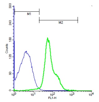 Mouse thymocytes probed with Rabbit Anti-GPR65 Polyclonal Antibody, Unconjugated (bs-7668R) (green) at 1:100 for 40 minutes followed by a FITC conjugated secondary compared to control cells (blue).