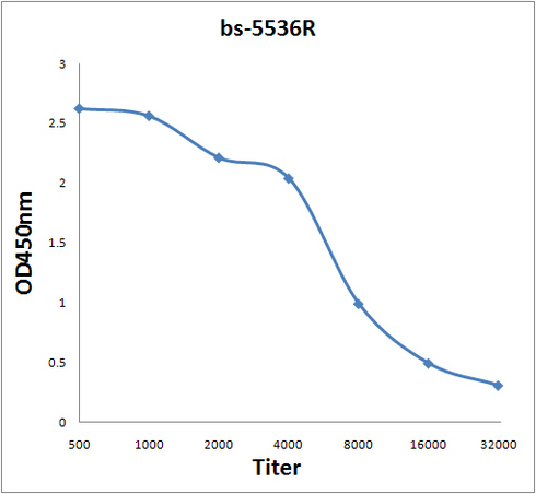 Antigen: bs-5536P, 0.2ug/100ul \\nPrimary: Antiserum, 1:500, 1:1000, 1:2000, 1:4000, 1:8000, 1:16000, 1:32000; \\nSecondary: HRP conjugated Goat-Anti-Rabbit IgG(bs-0295G-HRP) at 1: 5000;\\nTMB staining;\\nRead the data in MicroplateReader by 450