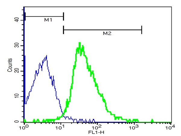 Mouse thymocytes probed with Rabbit Anti-ARMC3 (Cancer/testis antigen 81) Polyclonal Antibody, FITC Conjugated (bs-7969R-FITC) at 1:100 for 40 minutes (green) compared to control cells (blue).\\n