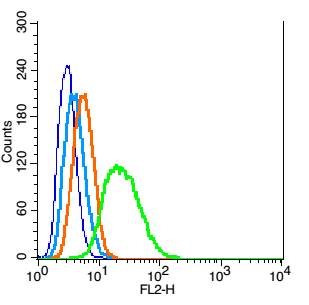 RSC96 cells probed with Cyclin D1 Polyclonal Antibody, Unconjugated (bs-0623R) at 1:100 for 30 minutes followed by incubation with a conjugated secondary (PE Conjugated) (green) for 30 minutes compared to control cells (blue), secondary only (light blue) and isotype control (orange).