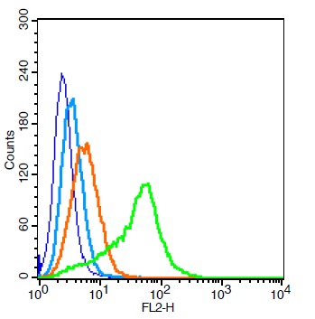 Human 293T cells probed with EGFR5 Polyclonal Antibody, Unconjugated (bs-9813R) (green) at 1:100 for 30 minutes followed by a PE conjugated secondary antibody compared to unstained cells (blue), secondary only (light blue), and isotype control (orange).\\n