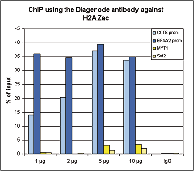 <strong> Figure 1. ChIP results obtained with the Diagenode antibody directed against H2A.Zac</strong><br /> Figure 1A ChIP assays were performed using human HeLa cells, the Diagenode antibody against H2A.Zac (Cat. No. C15410202) and optimized PCR primer pairs for qPCR. ChIP was performed with the ““Auto Histone ChIP-seq” kit (Cat. No. AB-Auto02-A100) on the IP-Star automated system, using sheared chromatin from 1,000,000 cells. A titration consisting of 1, 2, 5 and 10 μg of antibody per ChIP experiment was analyzed. IgG (2 μg/IP) was used as a negative IP control. Figure 1B ChIP assays were performed using human K562 cells, the Diagenode antibody against H2A.Zac (Cat. No. C15410202) and optimized PCR primer sets for qPCR. ChIP was performed with the “iDeal ChIP-seq” kit (Cat. No. AB-001-0024) on sheared chromatin from 100,000 cells. A titration of the antibody consisting of 0.2, 0.5, 1 and 2 μg per ChIP experiment was analysed. IgG (1 μg/IP) was used as negative IP control. Quantitati