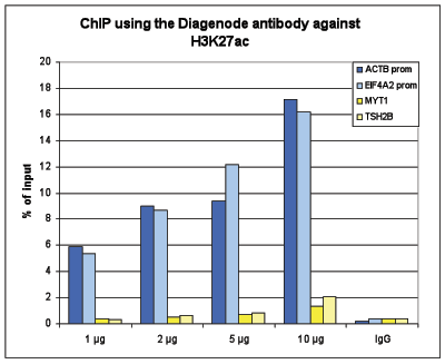 <strong>Figure 1. ChIP results obtained with the Diagenode antibody directed against H3K27ac ￼￼</strong><br />Figure 1A ChIP assays were performed using human HeLa cells, the Diagenode antibody against H3K27ac (cat. No. pAb- 196-050) and optimized PCR primer pairs for qPCR. ChIP was performed with the ““Auto Histone ChIP-seq” kit (cat. No. AB- Auto02-A100) on the IP-Star automated system, using sheared chromatin from 1,000,000 cells. A titration consisting of 1, 2, 5 and 10 μg of antibody per ChIP experiment was analyzed. IgG (2 μg/IP) was used as a negative IP control. Quantitative PCR was performed with primers for the promoters of the active EIF4A2 and ACTB genes, used as positive controls, and for the inactive TSH2B and MYT1 genes, used as negative controls.