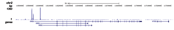 <strong> Figure 1. ChIP-seq results obtained with the Diagenode monoclonal antibody directed against ERalpha </strong><br />ChIP was performed with the Diagenode monoclonal antibody against ERalpha (cat. No. AC-066-100) on sheared chromatin from MCF7 cells treated for 1 hour with estradiol. The IP’d DNA was analysed with an Illumina Genome Analyzer. Library preparation, cluster generation and sequencing were performed according to the manufacturer’s instructions. The 36 bp tags were aligned to the human genome using the ELAND algorithm. Figure 1 shows the obtained peaks near the TFF1 gene on chromosome 21 (figure 1A), the GREB1 and HAAO genes on chromosome 2 (figure 1B and C), and the ZNF185 gene on the X-chromosome (figure 1D).