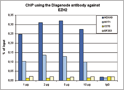 <strong>Figure 1. ChIP results obtained with the Diagenode antibody directed against EZH2</strong><br />ChIP assays were performed using K562 cells, the Diagenode antibody against EZH2 (Cat. No. C15410039) and optimized PCR primer sets for qPCR. ChIP was performed with the “iDeal ChIP-seq” kit (Cat. No. C01010055), using sheared chromatin from 4 million cells. A titration of the antibody consisting of 1, 2. 5 and 10 μg per ChIP experiment was analysed. IgG (2 μg/IP) was used as negative IP control. Quantitative PCR was performed with primers for MYT1 and HOXA9, used as positive control targets, and for the coding regions of the active CCT5 and EIF2S3 genes, used as negative controls. Figure 1 shows the recovery, expressed as a % of input (the relative amount of immunoprecipitated DNA compared to input DNA after qPCR analysis).