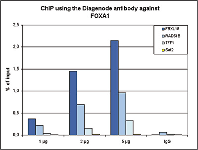 <strong> Figure 1. ChIP results obtained with the Diagenode antibody directed against FOXA1</strong><br /> ChIP assays were performed using HepG2 cells, the Diagenode antibody against FOXA1 Cat. No. C15410231) and optimized primer sets for qPCR. ChIP was performed with the “iDeal ChIP-seq” kit (Cat. No. C01010055), using sheared chromatin from 4 million cells. A titration of the antibody consisting of 1, 2 and 5 μg per ChIP experiment was analysed. IgG (1 μg/IP) was used as negative IP control. QPCR was performed with primers for the FBXL18, RAD51B and TFF1 genes, used as positive controls, and for the Sat2 satellite repeat, used as a negative control. Figure 1 shows the recovery, expressed as a % of input (the relative amount of immunoprecipitated DNA compared to input DNA after qPCR analysis).