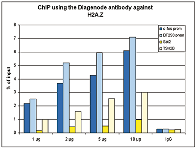 <strong> Figure 1. ChIP results obtained with the Diagenode antibody directed against H2A.Z</strong><br /> Figure 1A ChIP assays were performed using human HeLa cells, the Diagenode antibody against H2A.Z (cat. No. C15410201) and optimized PCR primer pairs for qPCR. ChIP was performed with the ““Auto Histone ChIP-seq” kit (cat. No. AB-Auto02-A100) on the IP-Star automated system, using sheared chromatin from 1,000,000 cells. A titration consisting of 1, 2, 5 and 10 μg of antibody per ChIP experiment was analyzed. IgG (2 μg/IP) was used as a negative IP control. Quantitative PCR was performed with primers specific for the promoter of the active genes c-fos and EIF2S3, used as positive controls, and for the inactive TSH2B gene and the Sat2 satellite repeat, used as negative controls. Figure 1B ChIP assays were performed using human K562 cells, the Diagenode antibody against H2A.Z (cat. No. C15410201) and optimized PCR primer sets for qPCR. ChIP was performed with the “iDeal ChIP- seq” ki