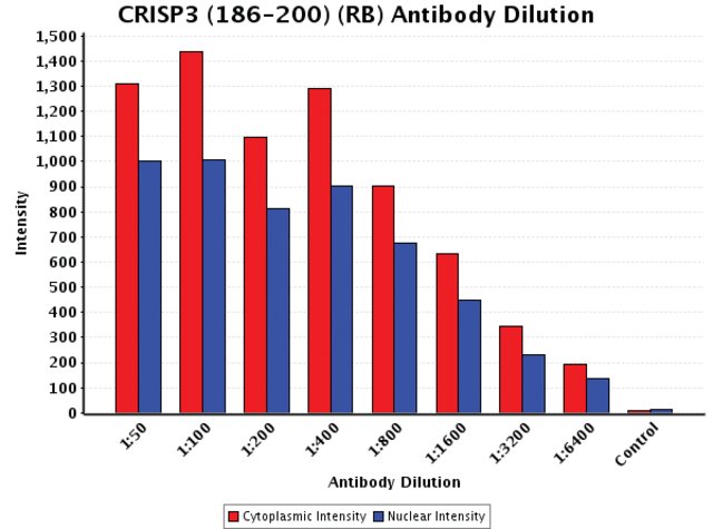 <B>Chart</B><BR/>Anti-CRISP3 (186-200): <B>Cat. No. C9996</B>: Intensity analysis of Anti-CRISP3 (186-200) staining. Cytoplasmic and nuclear intensity values were obtained at 8 different antibody dilutions (1:50 to 1:6,400) as compared with the negative control. Yale HTCB IF procedure used.