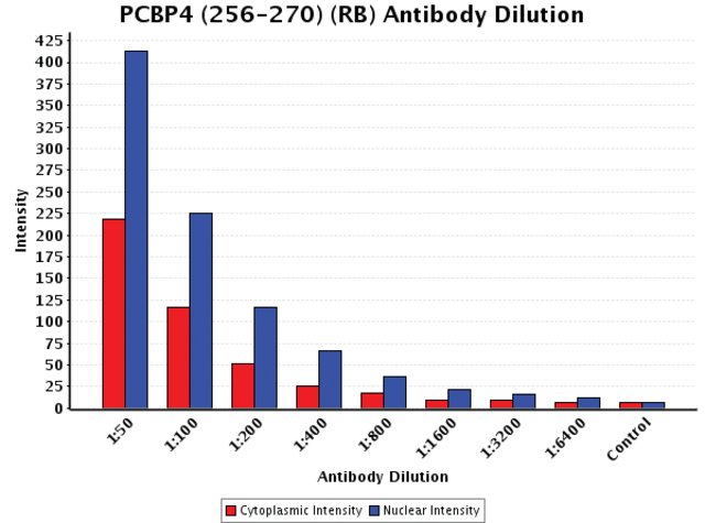 <B>Chart</B><BR/>Anti-PCBP4 (256-270): <B>Cat. No. C1122</B>: Intensity analysis of Anti-PCBP4 (256-270) staining. Cytoplasmic and nuclear intensity values were obtained at 8 different antibody dilutions (1:50 to 1:6,400) as compared with the negative control. Yale HTCB IF procedure used.