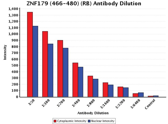 <B>Chart</B><BR/>Anti-ZNF179 (466-480): <B>Cat. No. Z3652</B>: Intensity analysis of Anti-ZNF179 (466-480) staining. Cytoplasmic and nuclear intensity values were obtained at 8 different antibody dilutions (1:50 to 1:6,400) as compared with the negative control. Yale HTCB IF procedure used.
