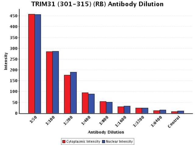 <B>Chart</B><BR/>Anti-TRIM31 (301-315): <B>Cat. No. T1329</B>: Intensity analysis of Anti-TRIM31 (301-315) staining. Cytoplasmic and nuclear intensity values were obtained at 8 different antibody dilutions (1:50 to 1:6,400) as compared with the negative control. Yale HTCB IF procedure used.