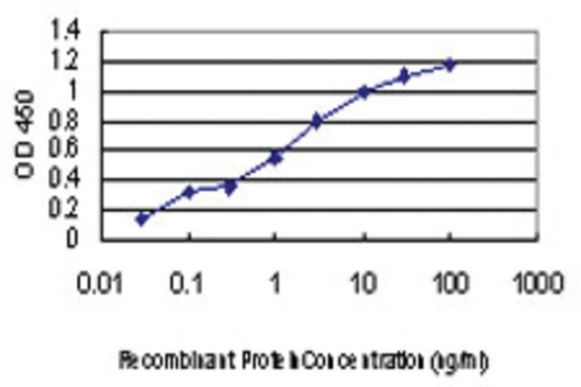 <B>ELISA</B><BR/>Monoclonal Anti-CDKL4: <B>Cat. No. SAB1405405</B>: Detection limit for recombinant GST tagged CDKL4 is approximately 0.03 ng/mL.