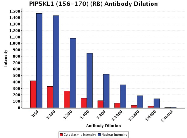 <B>Chart</B><BR/>Anti-PIP5KL1 (156-170): <B>Cat. No. K1142</B>: Intensity analysis of Anti-PIP5KL1 (156-170) staining. Cytoplasmic and nuclear intensity values were obtained at 8 different antibody dilutions (1:50 to 1:6,400) as compared with the negative control. Yale HTCB IF procedure used.