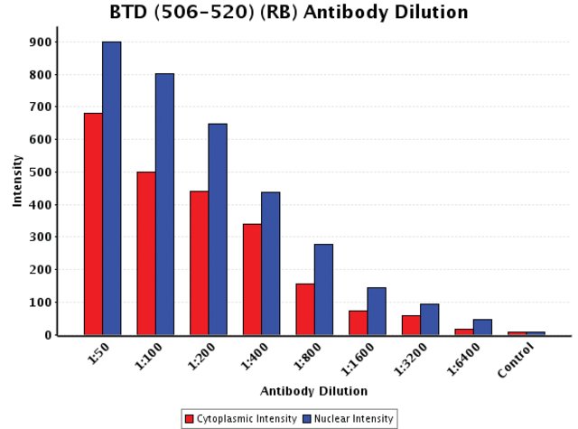 <B>Chart</B><BR/>Anti-BTD (506-520): <B>Cat. No. B7812</B>: Intensity analysis of Anti-BTD (506-520) staining. Cytoplasmic and nuclear intensity values were obtained at 8 different antibody dilutions (1:50 to 1:6,400) as compared with the negative control. Yale HTCB IF procedure used.