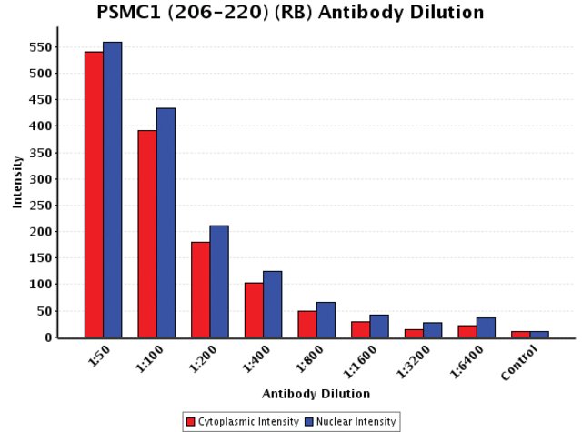 <B>Chart</B><BR/>Anti-PSMC1 (206-220): <B>Cat. No. S0699</B>: Intensity analysis of Anti-PSMC1 (206-220) staining. Cytoplasmic and nuclear intensity values were obtained at 8 different antibody dilutions (1:50 to 1:6,400) as compared with the negative control. Yale HTCB IF procedure used.