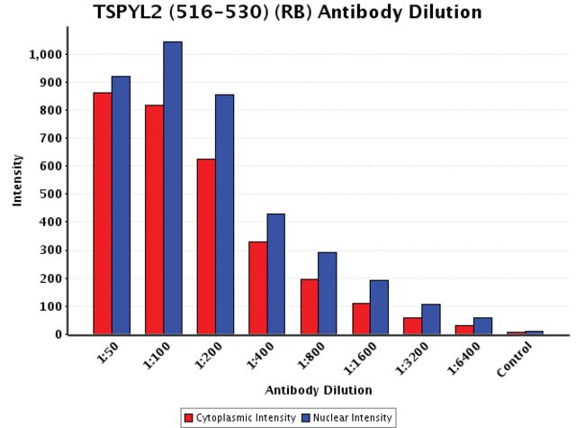 <B>Chart</B><BR/>Anti-TSPYL2 (516-530): <B>Cat. No. T4078</B>: Intensity analysis of Anti-TSPYL2 (516-530) staining. Cytoplasmic and nuclear intensity values were obtained at 8 different antibody dilutions (1:50 to 1:6,400) as compared with the negative control. Yale HTCB IF procedure used.