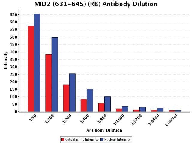 <B>Chart</B><BR/>Anti-MID2 (631-645): <B>Cat. No. M2573</B>: Intensity analysis of Anti-MID2 (631-645) staining. Cytoplasmic and nuclear intensity values were obtained at 8 different antibody dilutions (1:50 to 1:6,400) as compared with the negative control. Yale HTCB IF procedure used.