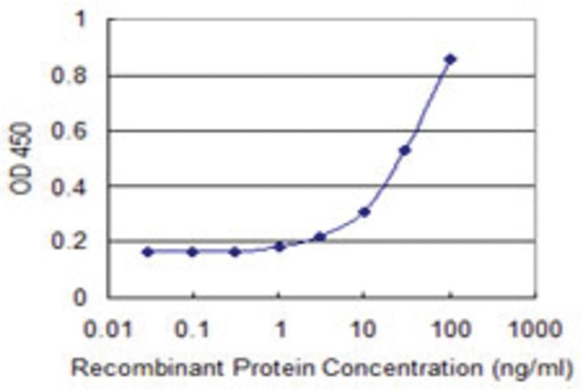 <B>ELISA</B><BR/>Monoclonal Anti-CDY2A: <B>Cat. No. SAB1404716</B>: Detection limit for recombinant GST tagged CDY2A is 1 ng/mL.