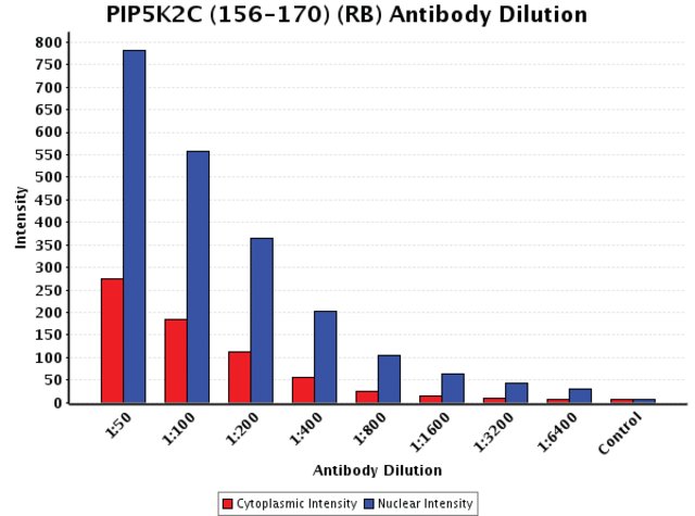<B>Chart</B><BR/>Anti-PIP5K2C (156-170): <B>Cat. No. K0892</B>: Intensity analysis of Anti-PIP5K2C (156-170) staining. Cytoplasmic and nuclear intensity values were obtained at 8 different antibody dilutions (1:50 to 1:6,400) as compared with the negative control. Yale HTCB IF procedure used.