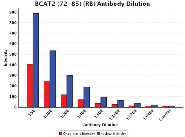 <B>Chart</B><BR/>Anti-BCAT2 (72-85): <B>Cat. No. B7187</B>: Intensity analysis of Anti-BCAT2 (72-85) staining. Cytoplasmic and nuclear intensity values were obtained at 8 different antibody dilutions (1:50 to 1:6,400) as compared with the negative control. Yale HTCB IF procedure used.