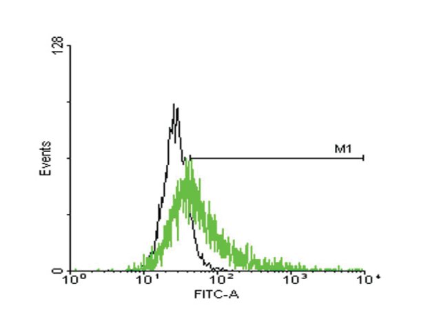 <B>Flow Cytometry</B><BR/>Anti-GPRC5C: <B>Cat. No. SAB1407710</B>: Antibody concentration: 1 μg/mL using GPRC5C expressing 293 cells. Green line represents transfected 293 cells, and black line represents Non-transfected (negative control) 293 cells.