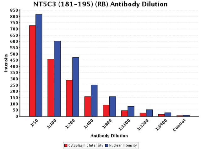 <B>Chart</B><BR/>Anti-NT5C3 (181-195): <B>Cat. No. N1914</B>: Intensity analysis of Anti-NT5C3 (181-195) staining. Cytoplasmic and nuclear intensity values were obtained at 8 different antibody dilutions (1:50 to 1:6,400) as compared with the negative control. Yale HTCB IF procedure used.