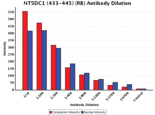 <B>Chart</B><BR/>Anti-NT5DC1 (433-445): <B>Cat. No. N2164</B>: Intensity analysis of Anti-NT5DC1 (433-445) staining. Cytoplasmic and nuclear intensity values were obtained at 8 different antibody dilutions (1:50 to 1:6,400) as compared with the negative control. Yale HTCB IF procedure used.