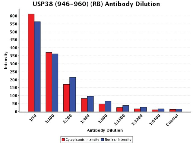 <B>Chart</B><BR/>Anti-USP38 (946-960): <B>Cat. No. U0260</B>: Intensity analysis of Anti-USP38 (946-960) staining. Cytoplasmic and nuclear intensity values were obtained at 8 different antibody dilutions (1:50 to 1:6,400) as compared with the negative control. Yale HTCB IF procedure used.