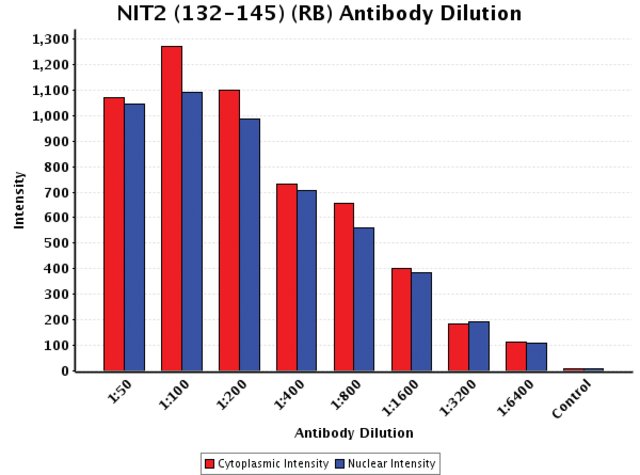 <B>Chart</B><BR/>Anti-NIT2 (132-145): <B>Cat. No. N4789</B>: Intensity analysis of Anti-NIT2 (132-145) staining. Cytoplasmic and nuclear intensity values were obtained at 8 different antibody dilutions (1:50 to 1:6,400) as compared with the negative control. Yale HTCB IF procedure used.