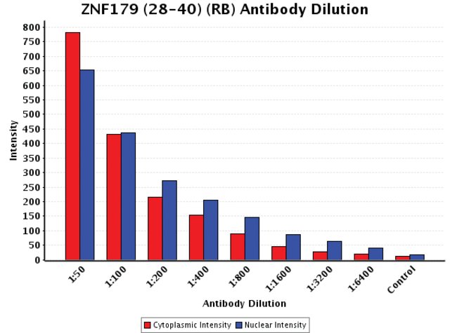 <B>Chart</B><BR/>Anti-ZNF179 (28-40): <B>Cat. No. Z3527</B>: Intensity analysis of Anti-ZNF179 (28-40) staining. Cytoplasmic and nuclear intensity values were obtained at 8 different antibody dilutions (1:50 to 1:6,400) as compared with the negative control. Yale HTCB IF procedure used.