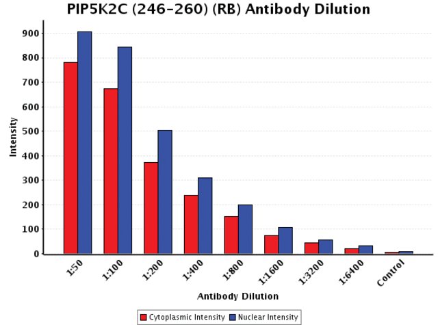 <B>Chart</B><BR/>Anti-PIP5K2C (246-260): <B>Cat. No. K1017</B>: Intensity analysis of Anti-PIP5K2C (246-260) staining. Cytoplasmic and nuclear intensity values were obtained at 8 different antibody dilutions (1:50 to 1:6,400) as compared with the negative control. Yale HTCB IF procedure used.