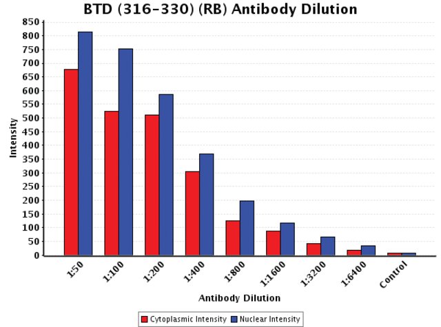 <B>Chart</B><BR/>Anti-BTD (316-330): <B>Cat. No. B7687</B>: Intensity analysis of Anti-BTD (316-330) staining. Cytoplasmic and nuclear intensity values were obtained at 8 different antibody dilutions (1:50 to 1:6,400) as compared with the negative control. Yale HTCB IF procedure used.