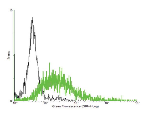<B>Flow Cytometry</B><BR/>Anti-ROM1: <B>Cat. No. SAB1406397</B>: Antibody concentration: 1 μg/mL using ROM1 expressing 293 cells. Green line represents transfected 293 cells, and black line represents Non-transfected (negative control) 293 cells.