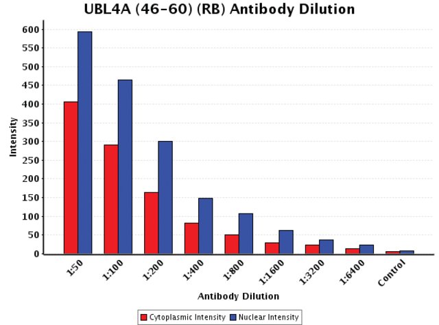 <B>Chart</B><BR/>Anti-UBL4A (46-60): <B>Cat. No. U4759</B>: Intensity analysis of Anti-UBL4A (46-60) staining. Cytoplasmic and nuclear intensity values were obtained at 8 different antibody dilutions (1:50 to 1:6,400) as compared with the negative control. Yale HTCB IF procedure used.
