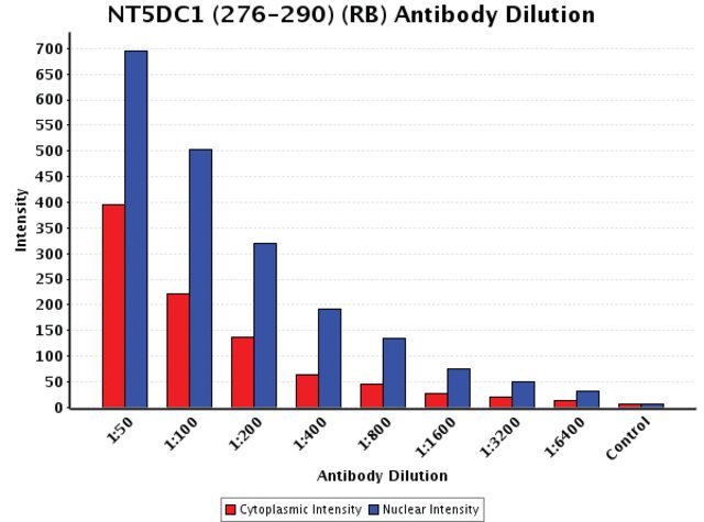 <B>Chart</B><BR/>Anti-NT5DC1 (276-290): <B>Cat. No. N2039</B>: Intensity analysis of Anti-NT5DC1 (276-290) staining. Cytoplasmic and nuclear intensity values were obtained at 8 different antibody dilutions (1:50 to 1:6,400) as compared with the negative control. Yale HTCB IF procedure used.