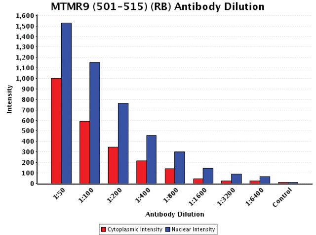 <B>Chart</B><BR/>Anti-MTMR9 (501-515): <B>Cat. No. M4198</B>: Intensity analysis of Anti-MTMR9 (501-515) staining. Cytoplasmic and nuclear intensity values were obtained at 8 different antibody dilutions (1:50 to 1:6,400) as compared with the negative control. Yale HTCB IF procedure used.