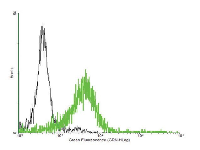 <B>Flow Cytometry</B><BR/>Anti-RGS6: <B>Cat. No. SAB1406859</B>: Antibody concentration: 1 μg/mL using RGS6 expressing 293 cells. Green line represents transfected 293 cells, and black line represents Non-transfected (negative control) 293 cells.