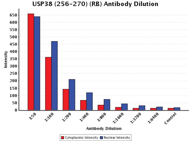 <B>Chart</B><BR/>Anti-USP38 (256-270): <B>Cat. No. U0135</B>: Intensity analysis of Anti-USP38 (256-270) staining. Cytoplasmic and nuclear intensity values were obtained at 8 different antibody dilutions (1:50 to 1:6,400) as compared with the negative control. Yale HTCB IF procedure used.