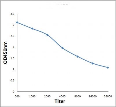 Line graph illustrates about the Ag-Ab reactions using different concentrations of antigen and serial dilutions of NPHS2 antibody